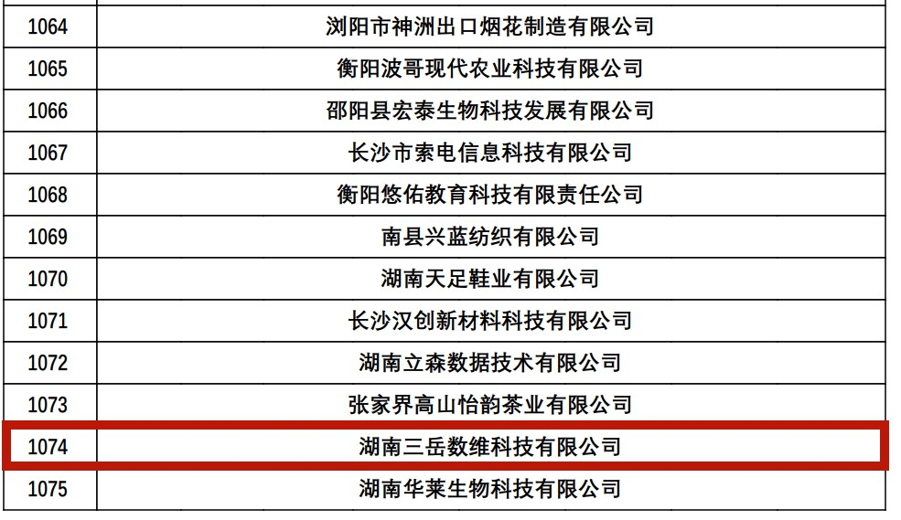 湖南三岳数维科技有限公司成功入选为湖南省高新技术企业